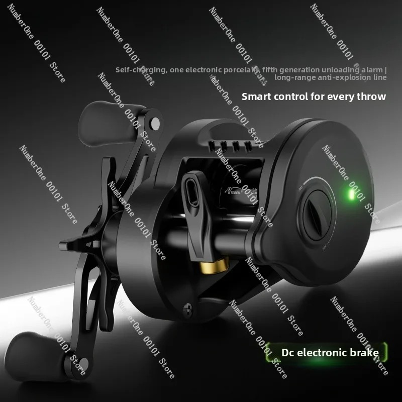 Electronic Magnetic Brake Fish - Baitcasting Reel recension och pris